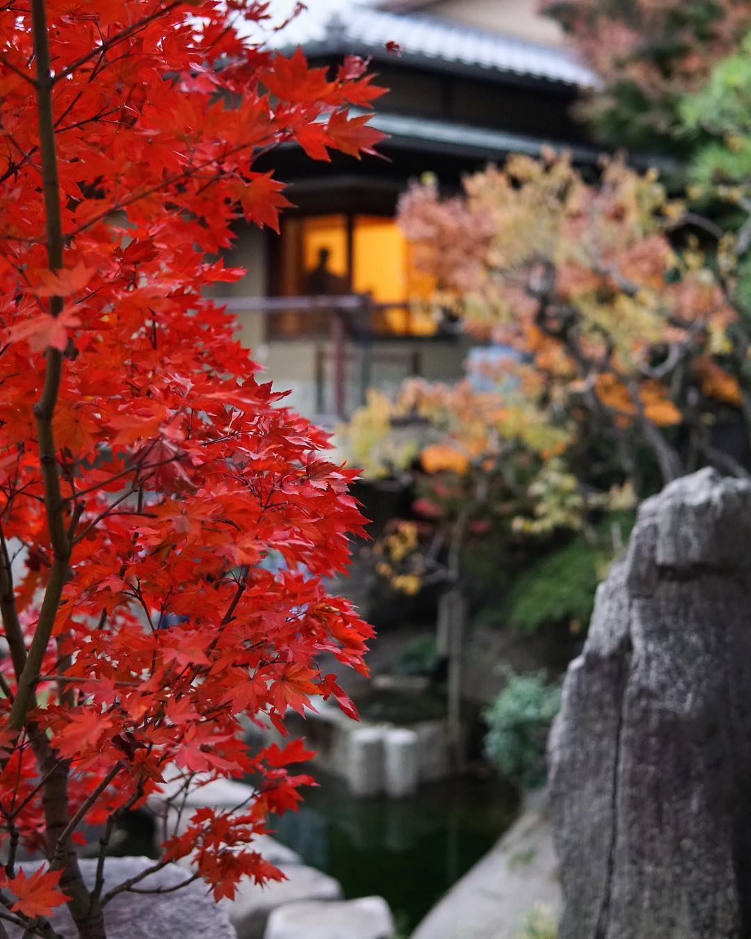 目白庭園｜日本 Japan 日本必食 日本必吃 日本必到 日本必去 日本必買 日本必掃 日本自由行 日本行程 日本行程包 日本懶人包 日本好去處 日本景點 日本必到景點 日本必去景點 日本美食 日本交通 日本攻略 日本自由行行程 日本自由行行程推薦 日本酒店 日本飯店 日本酒店推薦 日本飯店推薦 日本必住酒店 日本必住飯店 日本必食2019 日本必吃2019 日本必到2019 日本必去2019 日本必買2019 日本必掃2019 日本自由行2019 日本行程2019 日本行程包2019 日本懶人包2019 日本好去處2019 日本景點2019 日本必到景點2019 日本必去景點2019 日本美食2019 日本交通2019 日本攻略2019 日本自由行行程2019 日本自由行行程推薦2019 日本酒店2019 日本飯店2019 日本酒店推薦2019 日本飯店推薦2019 日本必住酒店2019 日本必住飯店2019 東京 Tokyo 東京必食 東京必吃 東京必到 東京必去 東京必買 東京必掃 東京自由行 東京行程 東京行程包 東京懶人包 東京好去處 東京景點 東京必到景點 東京必去景點 東京美食 東京交通 東京攻略 東京自由行行程 東京自由行行程推薦 東京酒店 東京飯店 東京酒店推薦 東京飯店推薦 東京必住酒店 東京必住飯店 東京必食2019 東京必吃2019 東京必到2019 東京必去2019 東京必買2019 東京必掃2019 東京自由行2019 東京行程2019 東京行程包2019 東京懶人包2019 東京好去處2019 東京景點2019 東京必到景點2019 東京必去景點2019 東京美食2019 東京交通2019 東京攻略2019 東京自由行行程2019 東京自由行行程推薦2019 東京酒店2019 東京飯店2019 東京酒店推薦2019 東京飯店推薦2019 東京必住酒店2019 東京必住飯店2019 紅葉2019 楓葉2019 日本紅葉 日本楓葉 日本紅葉2019 日本楓葉2019 日本賞楓 日本賞楓2019 東京紅葉 東京楓葉 東京紅葉2019 東京楓葉2019 東京賞楓 東京賞楓2019 六義園紅葉 六義園楓葉 六義園紅葉2019 六義園楓葉2019 六義園點燈 六義園點燈2019 大田黑公園紅葉 大田黑公園楓葉 大田黑公園紅葉2019 大田黑公園楓葉2019 大田黑公園點燈 大田黑公園點燈2019 目白庭園紅葉 目白庭園楓葉 目白庭園紅葉2019 目白庭園楓葉2019 目白庭園點燈 目白庭園點燈2019 江戶東京建築園紅葉 江戶東京建築園楓葉 江戶東京建築園紅葉2019 江戶東京建築園楓葉2019 江戶東京建築園點燈 江戶東京建築園點燈2019 六義園 大田黑公園 江戶東京建築園 目白庭園