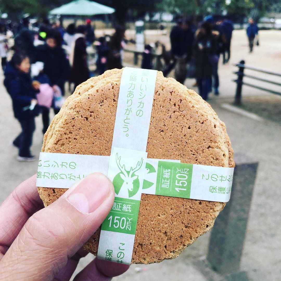 [京阪自由行]餵鹿前做足準備！奈良睇鹿攻略！
