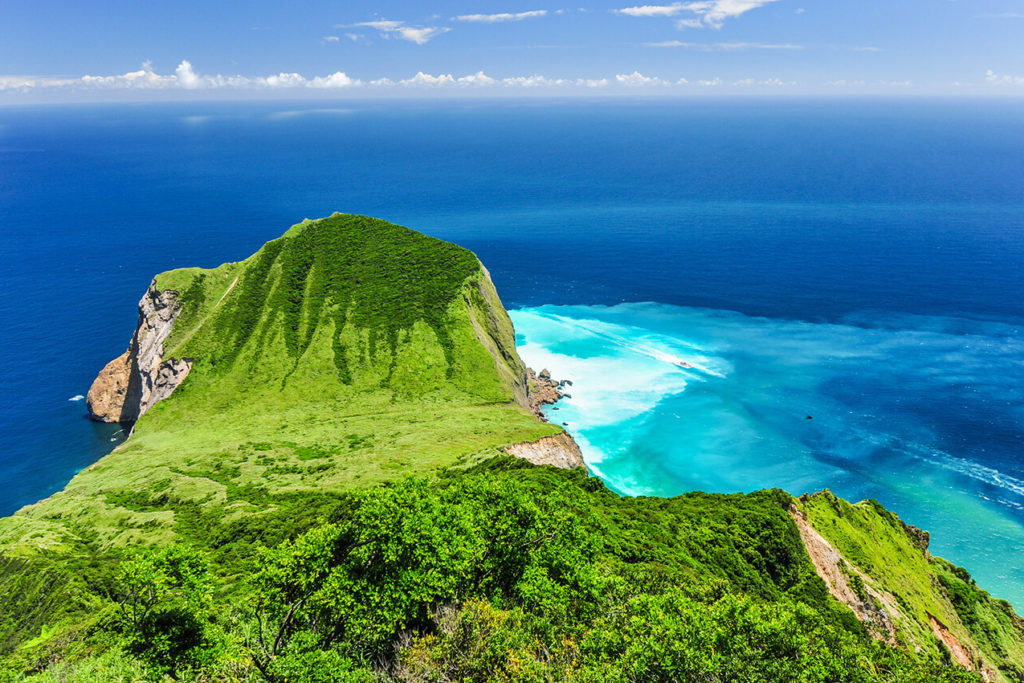 台灣賞鯨景點 台灣賞鯨 宜蘭賞鯨 花蓮賞鯨 台東賞鯨 龜山島 花蓮港 成功港 宜蘭 花蓮 台東 龜山島賞鯨 花蓮港賞鯨 成功港賞鯨