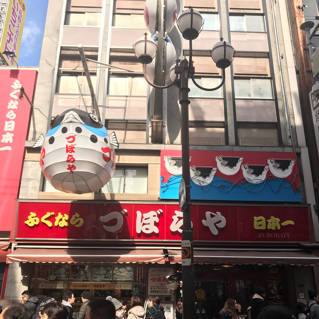 一生人必試高級和食!大阪河豚料理四選!づぼらや