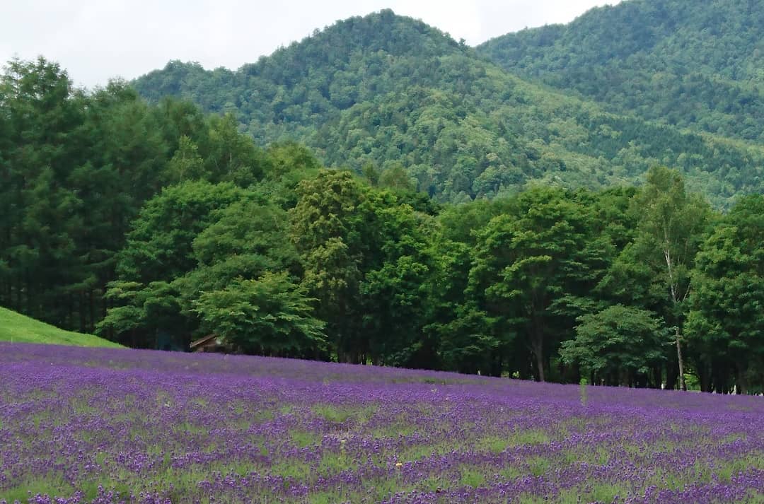 Highland Furano