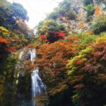 西江寺 一の橋 昆蟲館 瀧安寺 野口英世像 唐人戾橋 箕面站 箕面瀑布 箕面瀑布 大阪賞楓景點 大阪賞楓 景點 大阪紅葉景點 大阪紅葉 景點 大阪賞楓 大阪楓葉 大阪紅葉預測 大阪夜楓 大阪夜楓2019 大阪紅葉2019 大阪賞楓2019 大阪楓葉2019 大阪紅葉預測2019