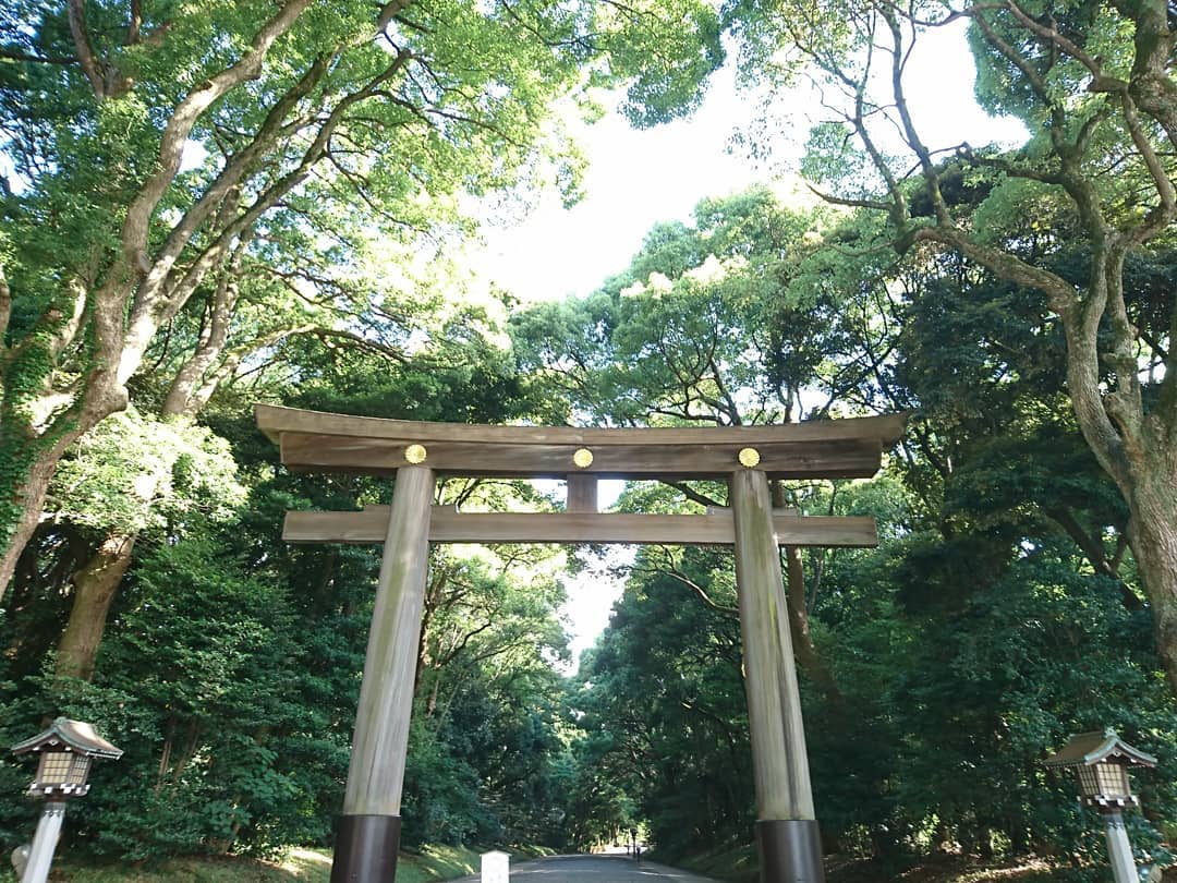 東京自由行！原宿必去景點懶人包！明治神宫