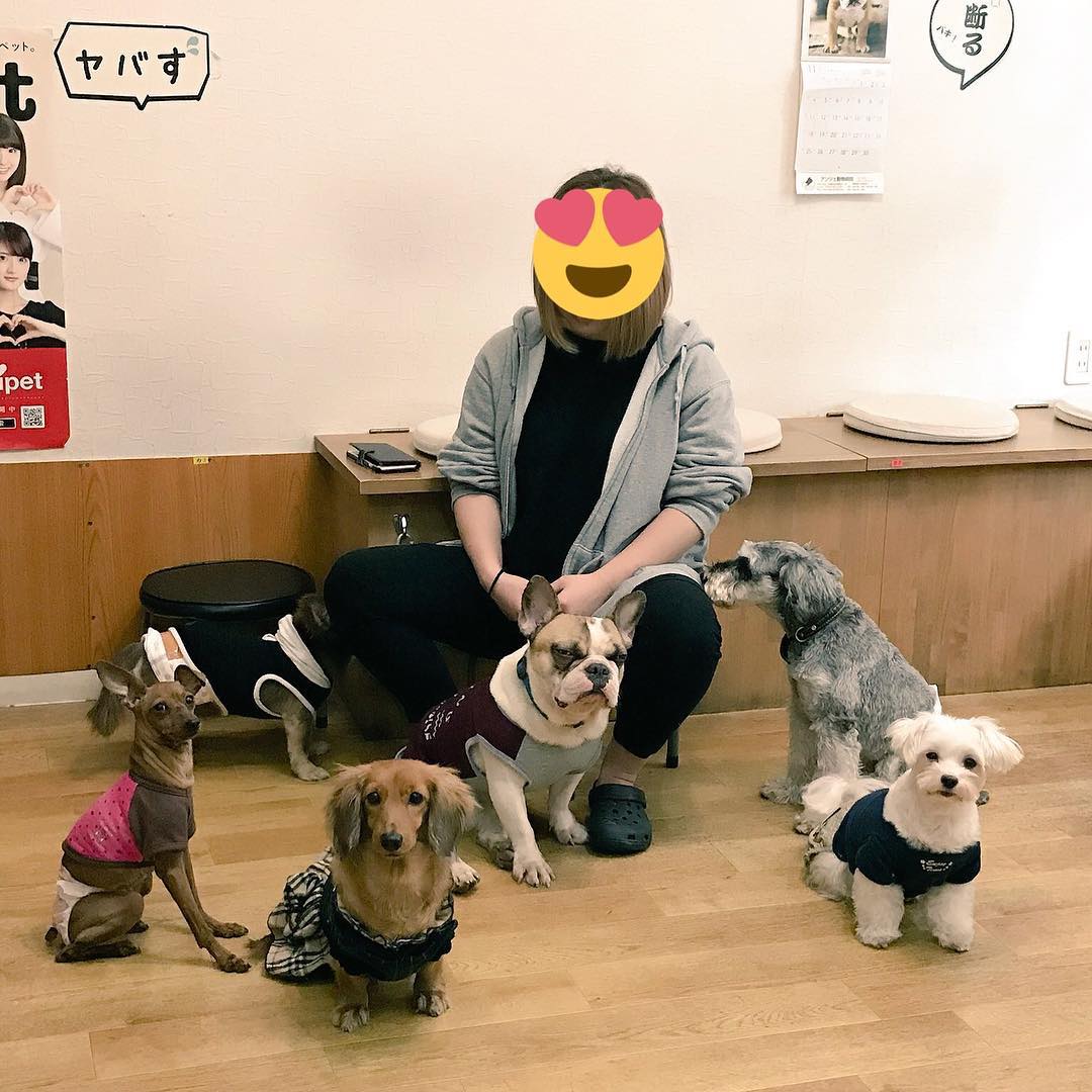 大阪犬CAFE HOGOKEN
