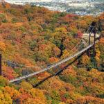 大阪賞楓景點 大阪賞楓 景點 大阪紅葉景點 大阪紅葉 景點 大阪賞楓 大阪楓葉 大阪紅葉預測 大阪夜楓 大阪夜楓2019 大阪紅葉2019 大阪賞楓2019 大阪楓葉2019 大阪紅葉預測2019 星田園地 ほしだ園地 私市站 大阪府民の森 日本最大吊橋