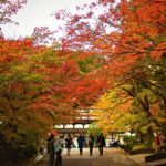 南禪寺‧永觀堂道站 蹴上站 南禪寺 南禪寺紅葉 日本庭園 紅葉 南禪寺 紅葉 京都紅葉2019 京都楓葉2019 京都紅葉景點2019 京都紅葉 景點2019 京都賞楓2019 京都賞楓 景點2019 京都賞楓景點2019 京都夜楓2019 京都夜楓景點2019 京都紅葉 京都楓葉 京都紅葉景點 京都紅葉 景點 京都賞楓 京都賞楓 景點 京都賞楓景點 京都夜楓 京都夜楓景點