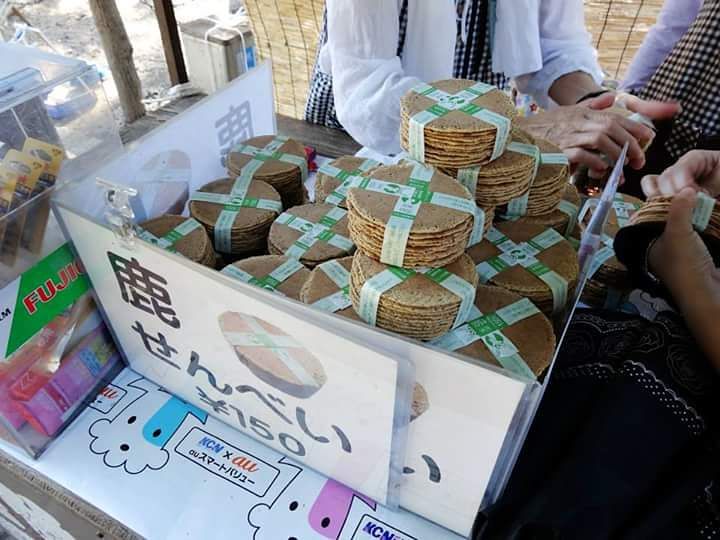[京阪自由行]餵鹿前做足準備！奈良睇鹿攻略！