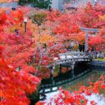 紅葉的永觀堂 蹴上站 紅葉の永観堂 永観堂の紅葉 永観堂 紅葉 永觀堂 紅葉 永觀堂紅葉 京都紅葉2019 京都楓葉2019 京都紅葉景點2019 京都紅葉 景點2019 京都賞楓2019 京都賞楓 景點2019 京都賞楓景點2019 京都夜楓2019 京都夜楓景點2019 京都紅葉 京都楓葉 京都紅葉景點 京都紅葉 景點 京都賞楓 京都賞楓 景點 京都賞楓景點 京都夜楓 京都夜楓景點