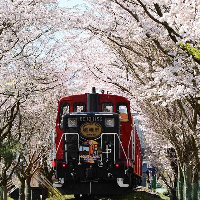 嵯峨野小火車