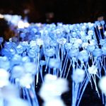 Winter Wonderland 姆明公園期間限定活動 姆明主題公園2019 姆明主題公園2020 姆明主題公園 Moomin Valley Park 日本 姆明主題公園 東京 姆明主題公園 東京 姆明 東京 moomin 姆明公園 姆明谷 嚕嚕米主題公園 嚕嚕米公園 日本 嚕嚕米公園 東京 主題 樂園 嚕嚕米兒童森林公園 姆明餐廳 埼玉景點 埼玉必去 嚕嚕米樂園 嚕嚕米moomin森林公園 嚕嚕米森林公園 飯能 埼玉 景點 東京近郊景點