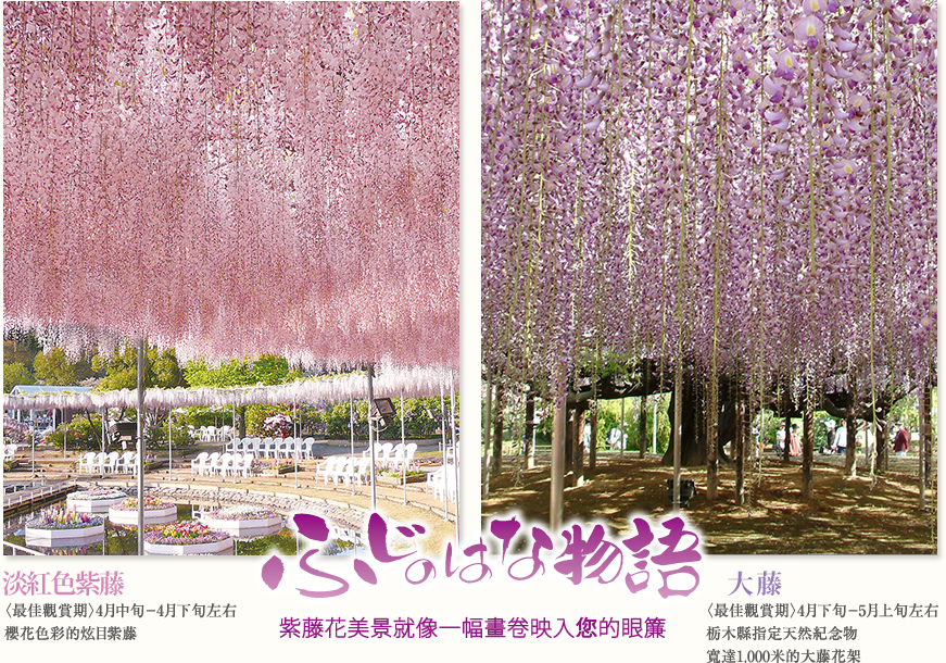 美國CNN 世界10大夢幻景點