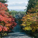 二尊院紅葉 二尊院 紅葉 小倉山二尊院紅葉 小倉山二尊院 紅葉 嵐山紅葉 景點 嵐山紅葉景點 紅葉 嵐山 紅葉 景點 嵐山賞楓景點 嵐山賞楓 景點 嵐山夜楓 景點 嵐山夜楓景點 嵐山楓葉景點 嵐山楓葉 景點 嵐山紅葉 紅葉 嵐山 紅葉 嵐山賞楓 嵐山夜楓 嵐山楓葉 京都紅葉2019 京都楓葉2019 京都紅葉景點2019 京都紅葉 景點2019 京都賞楓2019 京都賞楓 景點2019 京都賞楓景點2019 京都夜楓2019 京都夜楓景點2019 京都紅葉 京都楓葉 京都紅葉景點 京都紅葉 景點 京都賞楓 京都賞楓 景點 京都賞楓景點 京都夜楓 京都夜楓景點