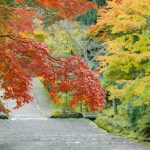 二尊院紅葉 二尊院 紅葉 小倉山二尊院紅葉 小倉山二尊院 紅葉 嵐山紅葉 景點 嵐山紅葉景點 紅葉 嵐山 紅葉 景點 嵐山賞楓景點 嵐山賞楓 景點 嵐山夜楓 景點 嵐山夜楓景點 嵐山楓葉景點 嵐山楓葉 景點 嵐山紅葉 紅葉 嵐山 紅葉 嵐山賞楓 嵐山夜楓 嵐山楓葉 京都紅葉2019 京都楓葉2019 京都紅葉景點2019 京都紅葉 景點2019 京都賞楓2019 京都賞楓 景點2019 京都賞楓景點2019 京都夜楓2019 京都夜楓景點2019 京都紅葉 京都楓葉 京都紅葉景點 京都紅葉 景點 京都賞楓 京都賞楓 景點 京都賞楓景點 京都夜楓 京都夜楓景點
