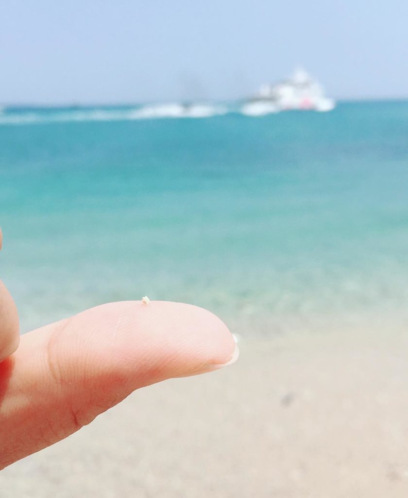 墾丁好去處 墾丁沙灘 墾丁景點 星砂灣