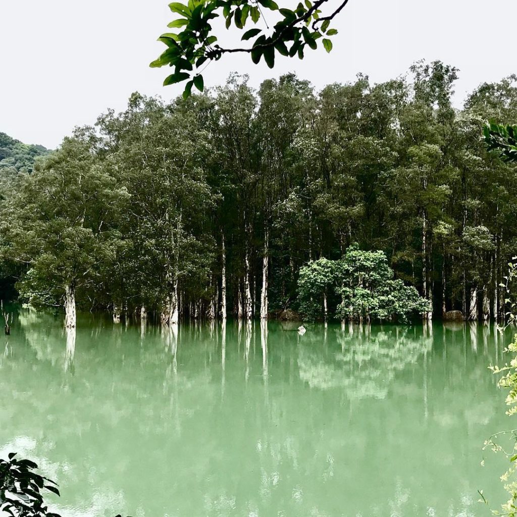 香港好去處 香港行山 行山好去處 行山新手 新手行山路線 香港行山徑 元朗行山 九龍行山 荃灣行山 大埔行山 菠蘿壩自然教育徑
