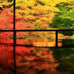 瑠璃光院 紅葉 2019 瑠璃光院 秋の拝観 瑠璃光院 2019年秋の拝観 瑠璃光院 秋季特別參拜 京都紅葉 2019 京都紅葉2019 京都必去 2019 京都景點 2019 京都必看 2019 京都好去處 2019 京都 景點 京都秋天 京都秋季 京都神社 京都祭典 2019