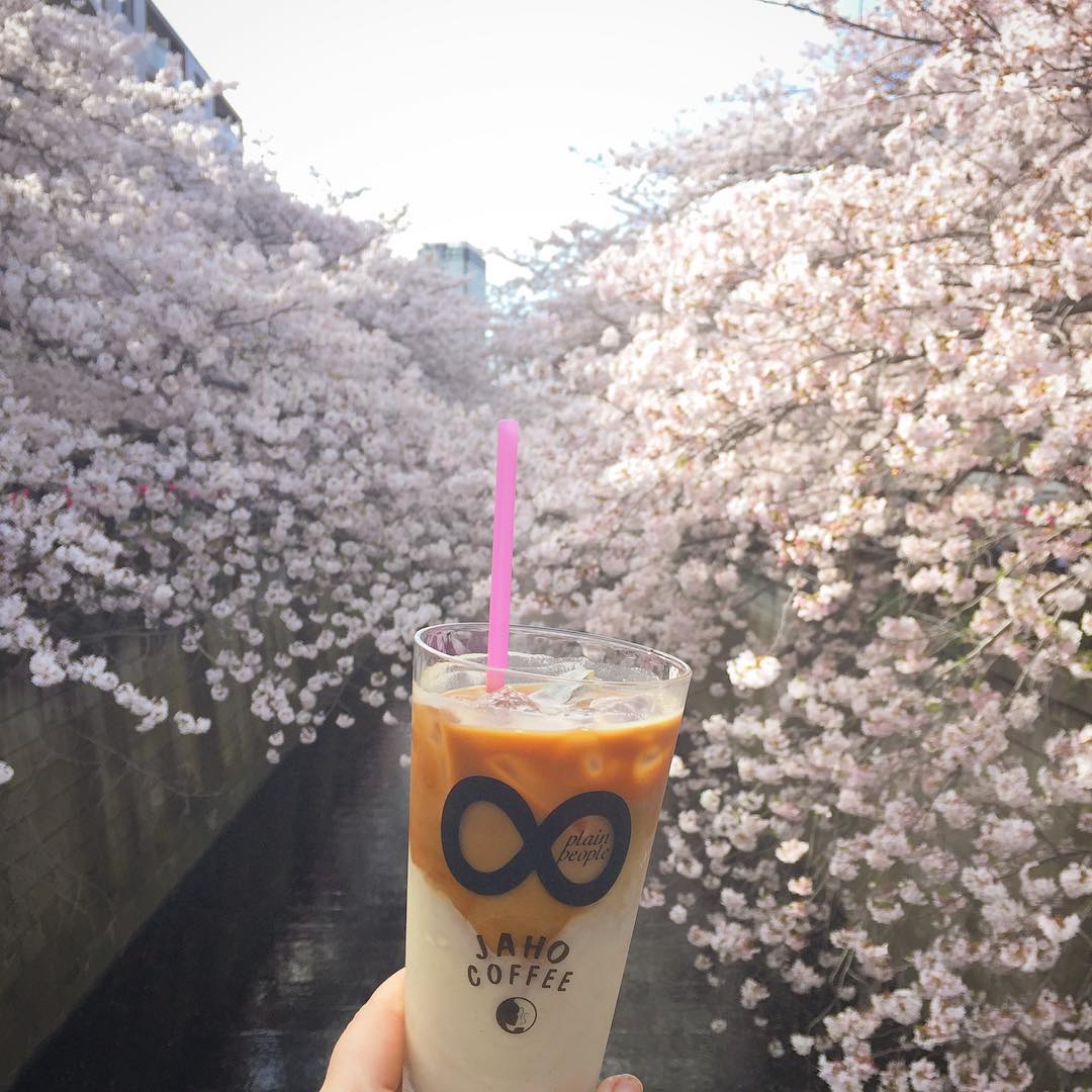 東京自由行!文青必訪的中目黑咖啡店 Jaho Coffee at Plain People