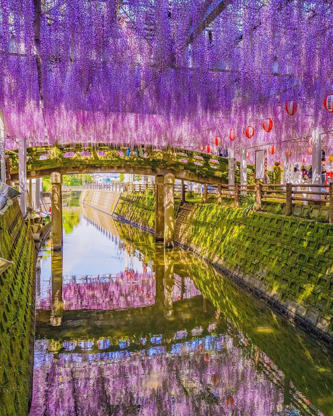 柳川 九州