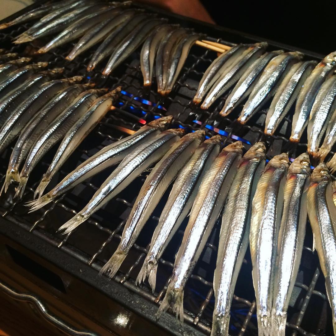 東京必食！新宿美食地圖 (海鮮篇)魚米