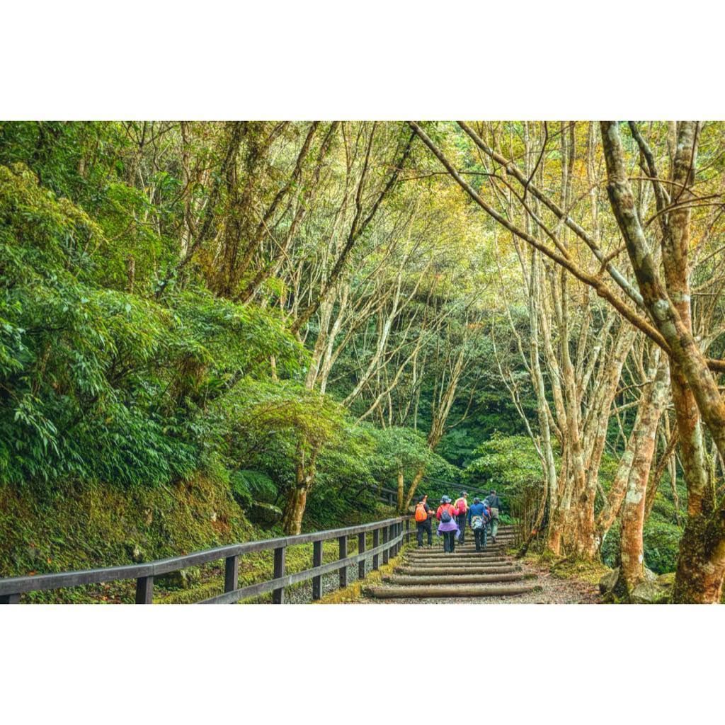 滿月圓森林遊樂區 台灣親子遊 台灣森林遊樂區 台灣森林 台灣親子好去處