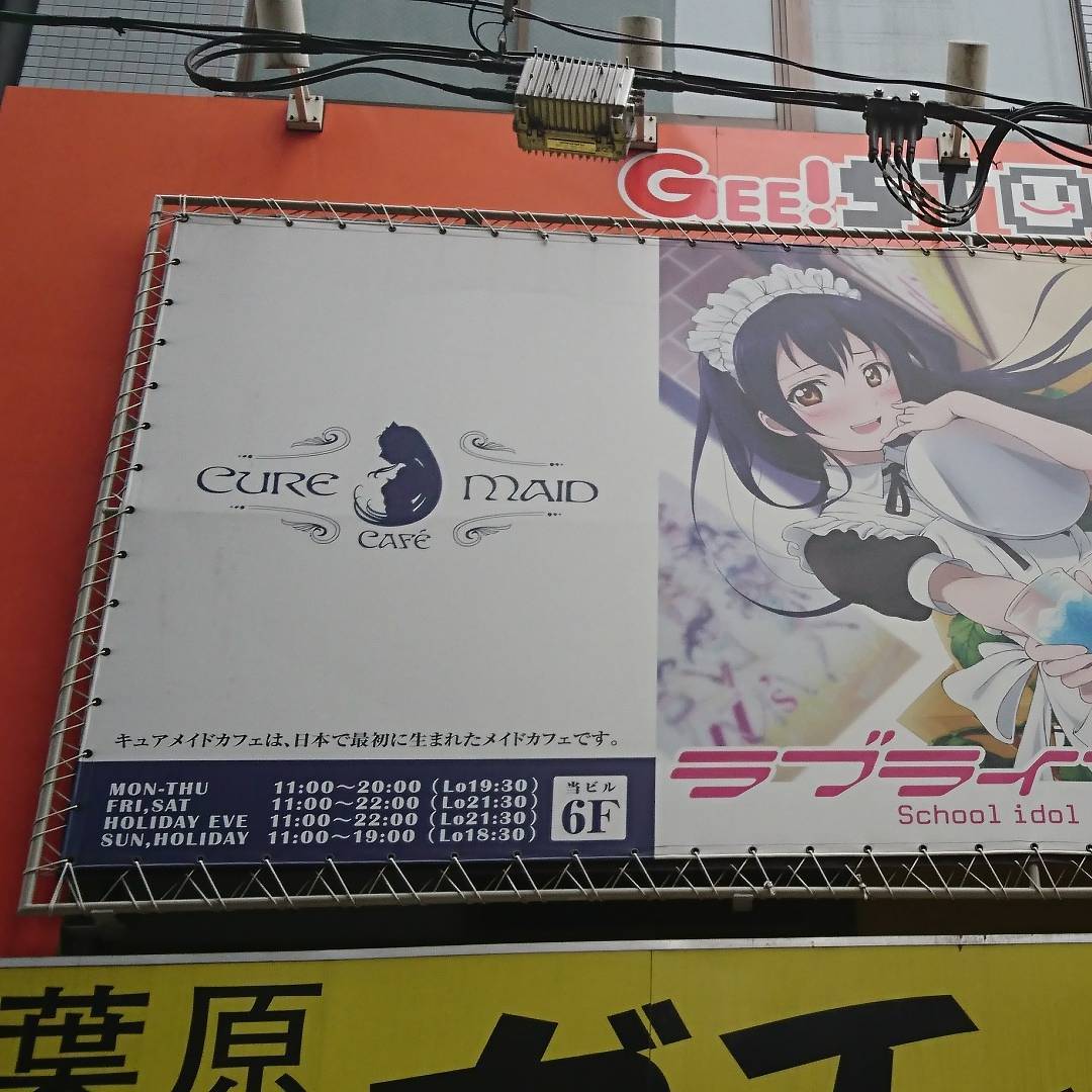 東京自由行！秋葉原女僕CAFÉ地圖 Cure Maid Café(キュア メイド カフェ ウェブ)