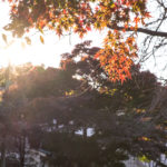 江戶東京建築園｜日本 Japan 日本必食 日本必吃 日本必到 日本必去 日本必買 日本必掃 日本自由行 日本行程 日本行程包 日本懶人包 日本好去處 日本景點 日本必到景點 日本必去景點 日本美食 日本交通 日本攻略 日本自由行行程 日本自由行行程推薦 日本酒店 日本飯店 日本酒店推薦 日本飯店推薦 日本必住酒店 日本必住飯店 日本必食2019 日本必吃2019 日本必到2019 日本必去2019 日本必買2019 日本必掃2019 日本自由行2019 日本行程2019 日本行程包2019 日本懶人包2019 日本好去處2019 日本景點2019 日本必到景點2019 日本必去景點2019 日本美食2019 日本交通2019 日本攻略2019 日本自由行行程2019 日本自由行行程推薦2019 日本酒店2019 日本飯店2019 日本酒店推薦2019 日本飯店推薦2019 日本必住酒店2019 日本必住飯店2019 東京 Tokyo 東京必食 東京必吃 東京必到 東京必去 東京必買 東京必掃 東京自由行 東京行程 東京行程包 東京懶人包 東京好去處 東京景點 東京必到景點 東京必去景點 東京美食 東京交通 東京攻略 東京自由行行程 東京自由行行程推薦 東京酒店 東京飯店 東京酒店推薦 東京飯店推薦 東京必住酒店 東京必住飯店 東京必食2019 東京必吃2019 東京必到2019 東京必去2019 東京必買2019 東京必掃2019 東京自由行2019 東京行程2019 東京行程包2019 東京懶人包2019 東京好去處2019 東京景點2019 東京必到景點2019 東京必去景點2019 東京美食2019 東京交通2019 東京攻略2019 東京自由行行程2019 東京自由行行程推薦2019 東京酒店2019 東京飯店2019 東京酒店推薦2019 東京飯店推薦2019 東京必住酒店2019 東京必住飯店2019 紅葉2019 楓葉2019 日本紅葉 日本楓葉 日本紅葉2019 日本楓葉2019 日本賞楓 日本賞楓2019 東京紅葉 東京楓葉 東京紅葉2019 東京楓葉2019 東京賞楓 東京賞楓2019 六義園紅葉 六義園楓葉 六義園紅葉2019 六義園楓葉2019 六義園點燈 六義園點燈2019 大田黑公園紅葉 大田黑公園楓葉 大田黑公園紅葉2019 大田黑公園楓葉2019 大田黑公園點燈 大田黑公園點燈2019 目白庭園紅葉 目白庭園楓葉 目白庭園紅葉2019 目白庭園楓葉2019 目白庭園點燈 目白庭園點燈2019 江戶東京建築園紅葉 江戶東京建築園楓葉 江戶東京建築園紅葉2019 江戶東京建築園楓葉2019 江戶東京建築園點燈 江戶東京建築園點燈2019 江戶東京建築園一日遊 江戶東京建築園2018 江戶東京建築園2019 東京江戶老街 東京江戶時代 東京傳統建築 江戸東京建物園 江戶時代建築 日本東京古建築 東京歐式建築 六義園 大田黑公園 江戶東京建築園 目白庭園