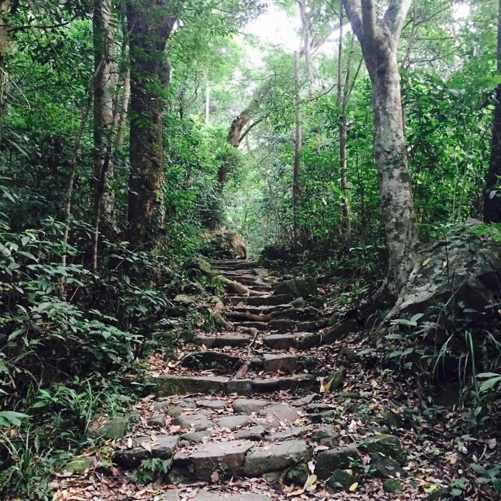 香港好去處 大埔滘松仔園四色林徑 大埔滘自然教育徑 香港行山 行山好去處 行山新手 新手行山路線 香港行山徑 大埔行山