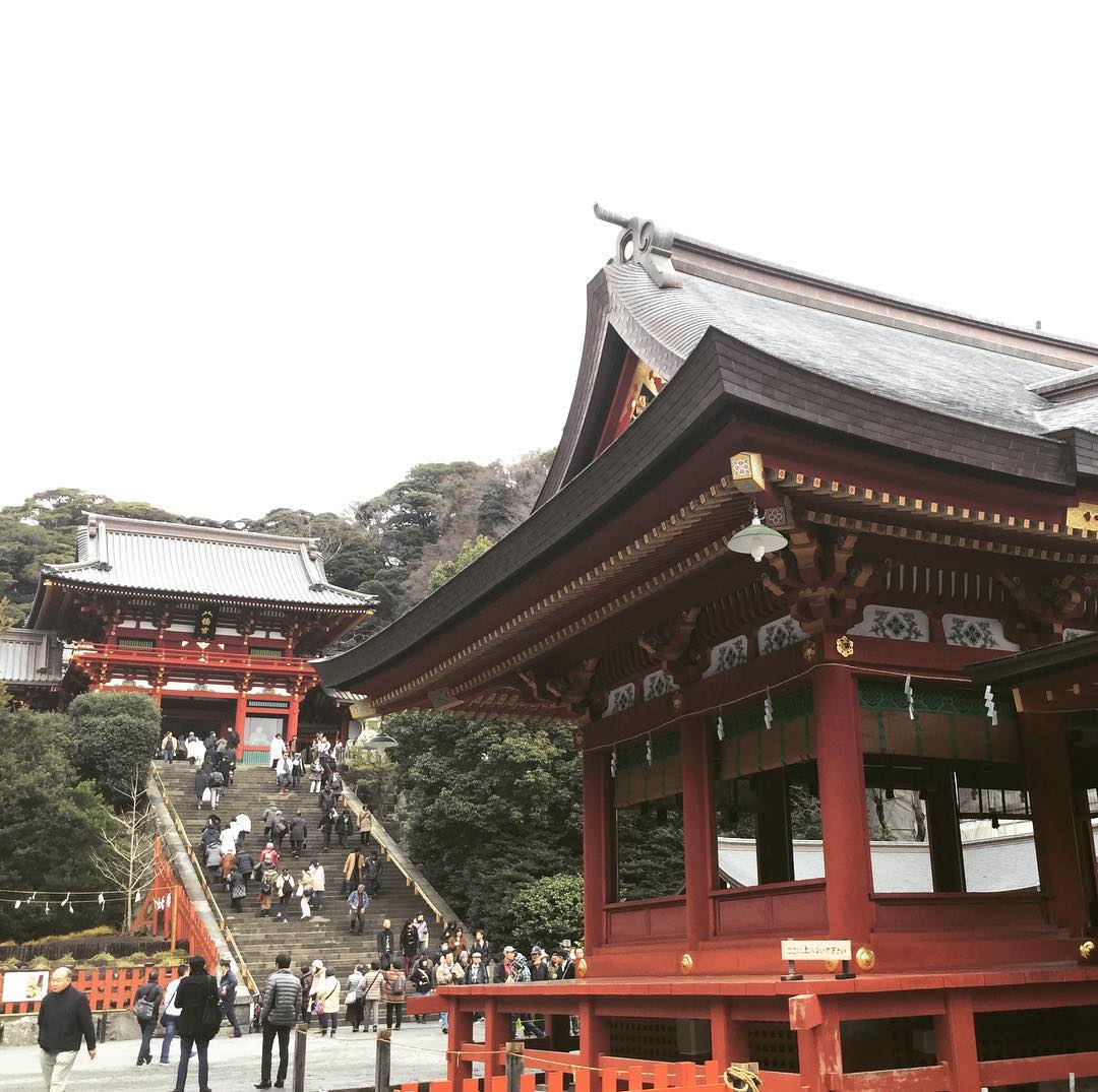 鎌倉必去鶴岡八幡宮