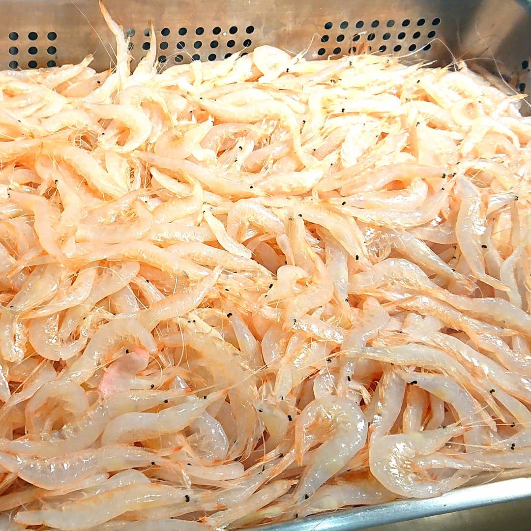 東京必食！食べログ3.5以上！天婦羅丼飯五選 白蝦亭