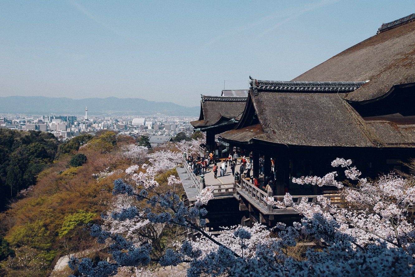 京都 櫻花 2019 清水寺