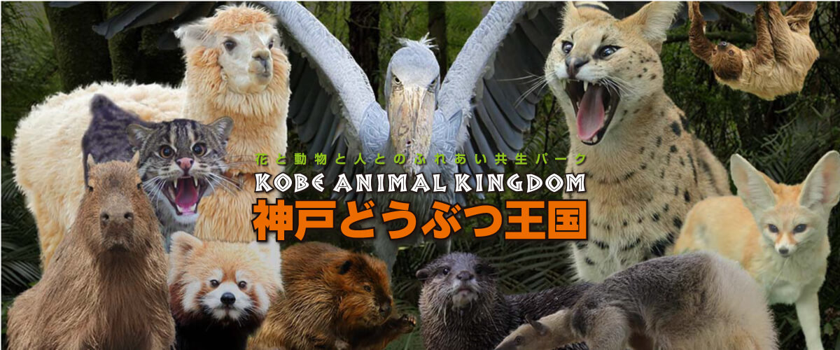 神戶動物王國
