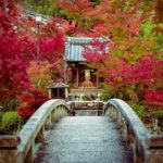 紅葉的永觀堂 蹴上站 紅葉の永観堂 永観堂の紅葉 永観堂 紅葉 永觀堂 紅葉 永觀堂紅葉 京都紅葉2019 京都楓葉2019 京都紅葉景點2019 京都紅葉 景點2019 京都賞楓2019 京都賞楓 景點2019 京都賞楓景點2019 京都夜楓2019 京都夜楓景點2019 京都紅葉 京都楓葉 京都紅葉景點 京都紅葉 景點 京都賞楓 京都賞楓 景點 京都賞楓景點 京都夜楓 京都夜楓景點