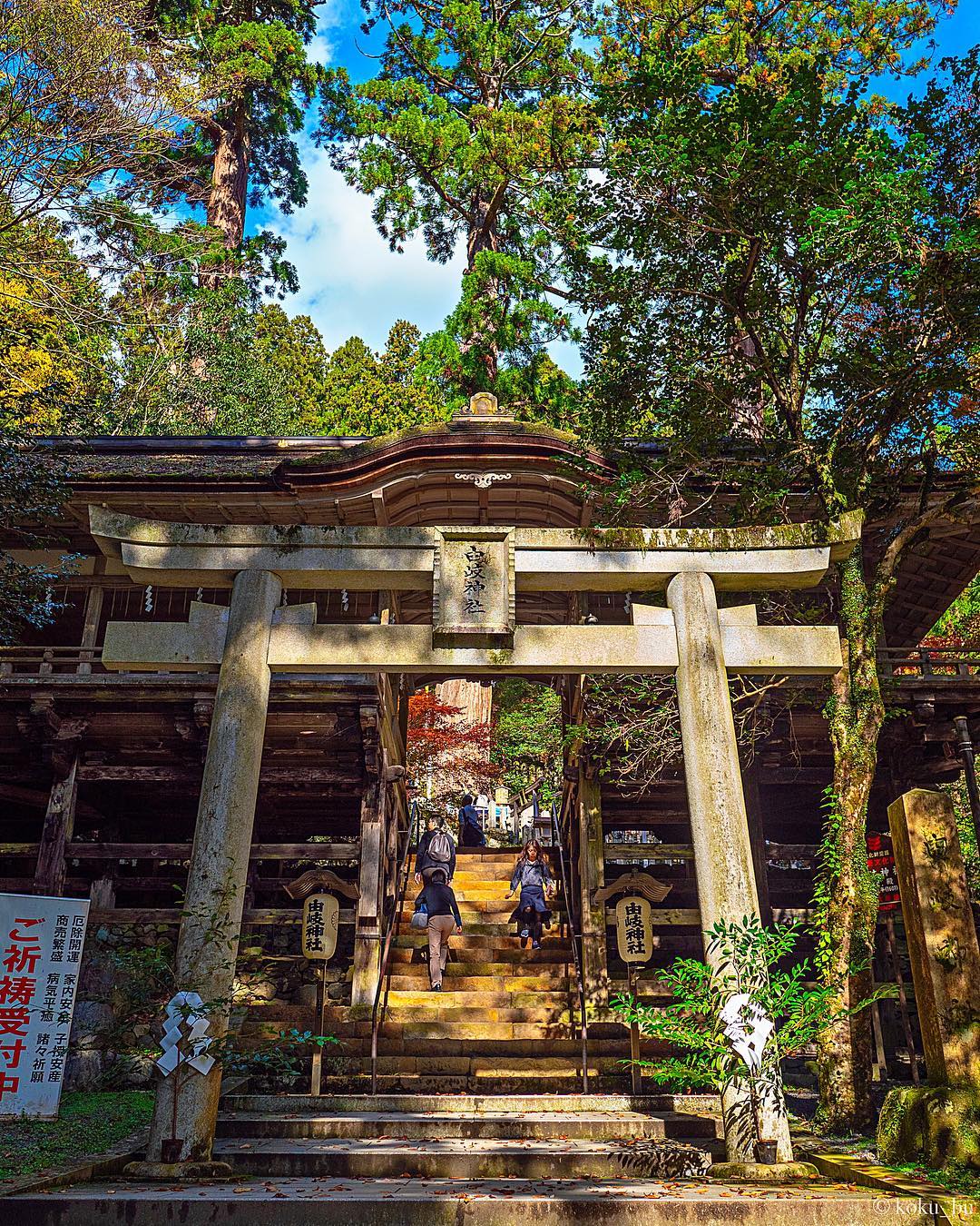 【京都一天行程】鞍馬・貴船散策路線:川床流水麵/貴船神社/叡山電鐵/鞍馬寺/天狗故鄉/大阪出發/一日券 - 鞍馬寺