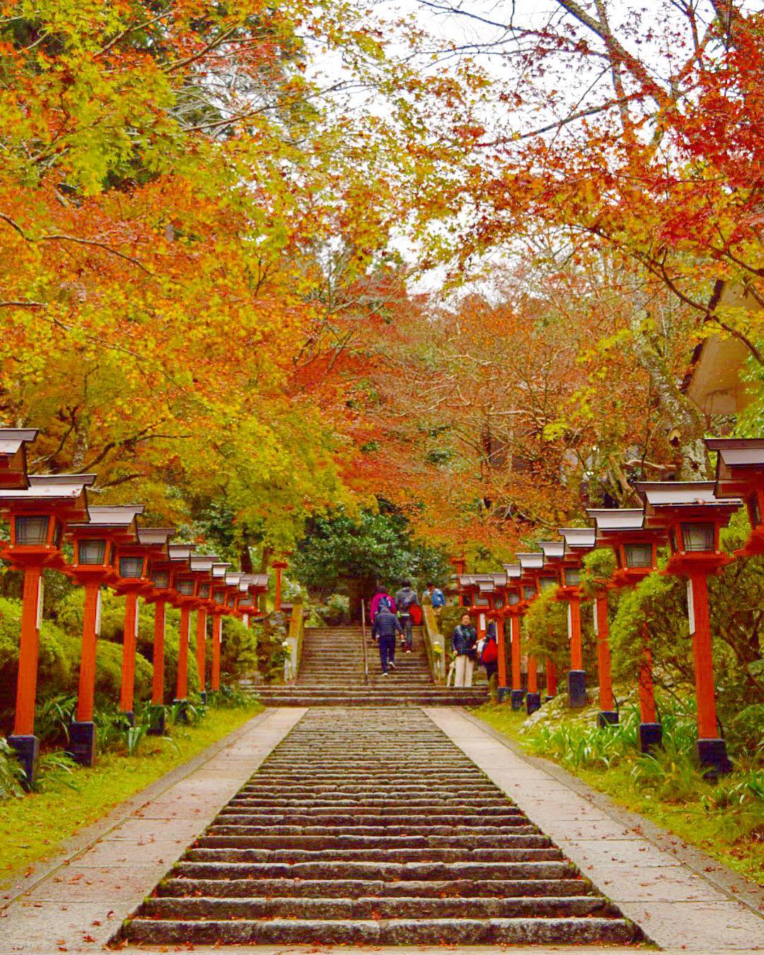 【京都一天行程】鞍馬・貴船散策路線:川床流水麵/貴船神社/叡山電鐵/鞍馬寺/天狗故鄉/大阪出發/一日券 - 鞍馬寺