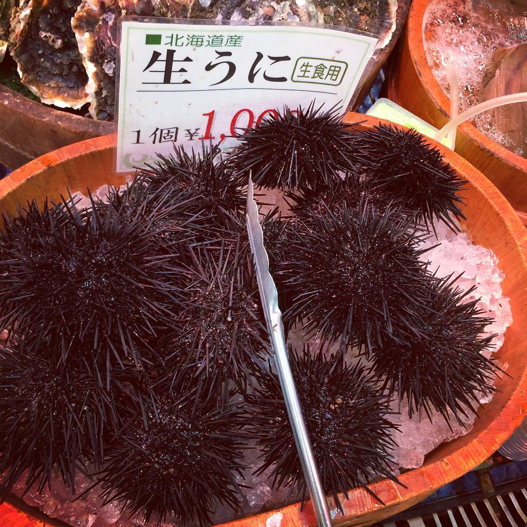 大阪魚市場 大阪 魚 市場 大阪 魚市場