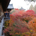 臥雲橋 通天橋 東福寺站 東福寺 紅葉 東福寺紅葉 京都紅葉2019 京都楓葉2019 京都紅葉景點2019 京都紅葉 景點2019 京都賞楓2019 京都賞楓 景點2019 京都賞楓景點2019 京都夜楓2019 京都夜楓景點2019 京都紅葉 京都楓葉 京都紅葉景點 京都紅葉 景點 京都賞楓 京都賞楓 景點 京都賞楓景點 京都夜楓 京都夜楓景點