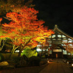 八阪神社 東山安井站 夜楓 圓山公園 高台寺紅葉 紅葉 高台寺 紅葉 京都紅葉2019 京都楓葉2019 京都紅葉景點2019 京都紅葉 景點2019 京都賞楓2019 京都賞楓 景點2019 京都賞楓景點2019 京都夜楓2019 京都夜楓景點2019 京都紅葉 京都楓葉 京都紅葉景點 京都紅葉 景點 京都賞楓 京都賞楓 景點 京都賞楓景點 京都夜楓 京都夜楓景點