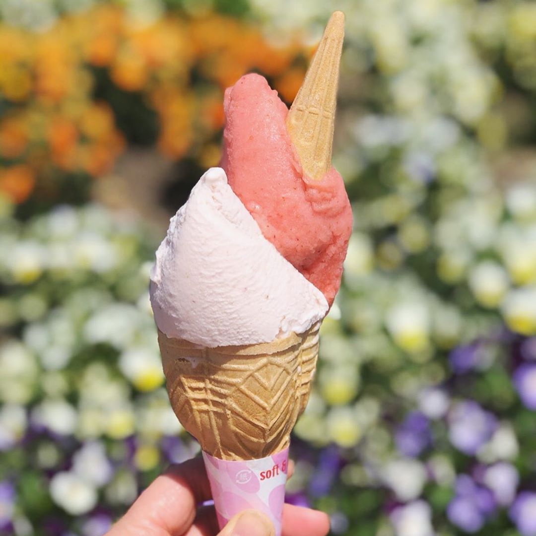 洞爺湖 溫泉 Lake-Hill Farm 北海道美食 義大利冰淇淋 雪糕 甜品 北海道溫泉 洞爺湖溫泉旅館 mapcode 地址