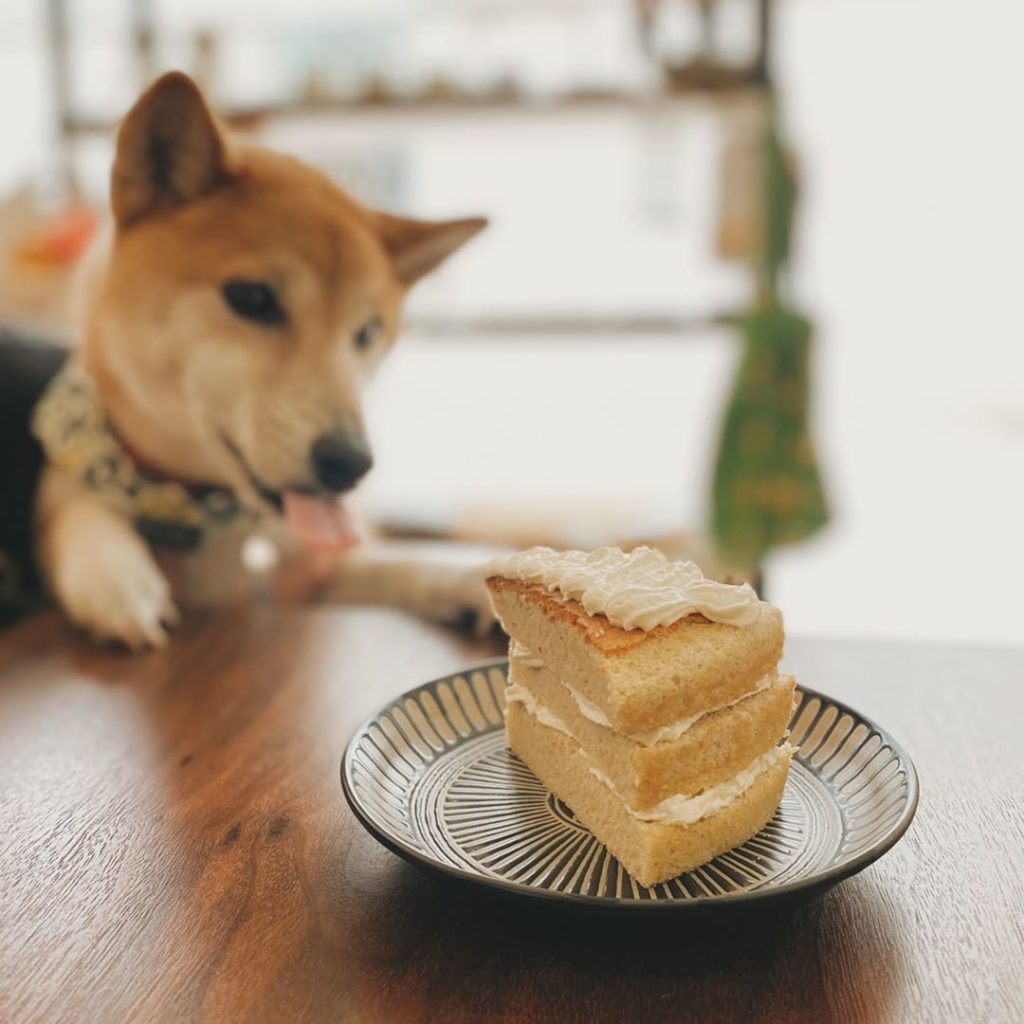 大樹下串燒臭豆腐 伸懶腰LazyDog 深坑景點 深坑美食 深坑臭豆腐 深坑老街 深坑老街美食 深坑miss YUAN YANG 覓食鴛鴦 王水成臭豆腐 阿珠芋圓