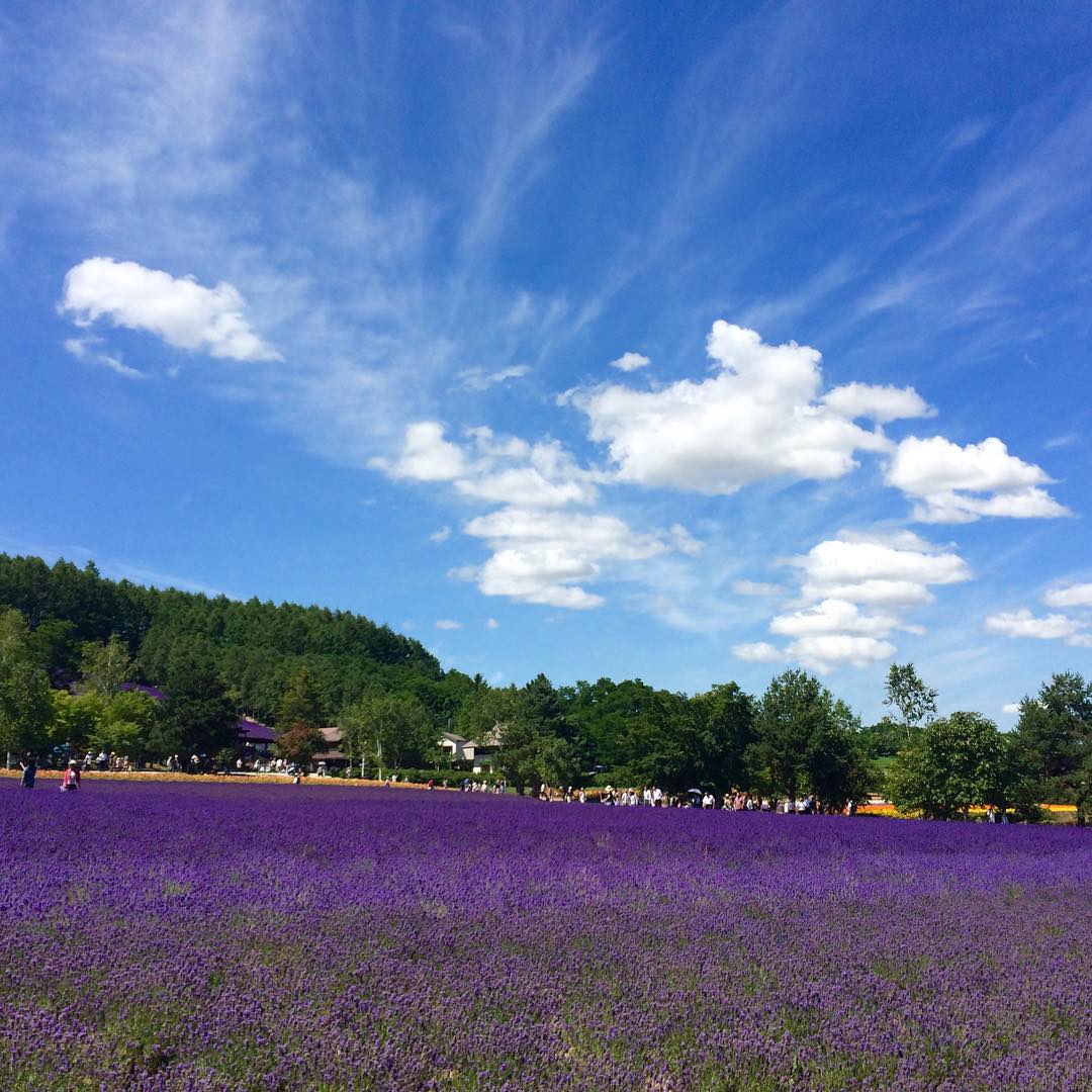富田農場 ファーム富田 FARM TOMITA