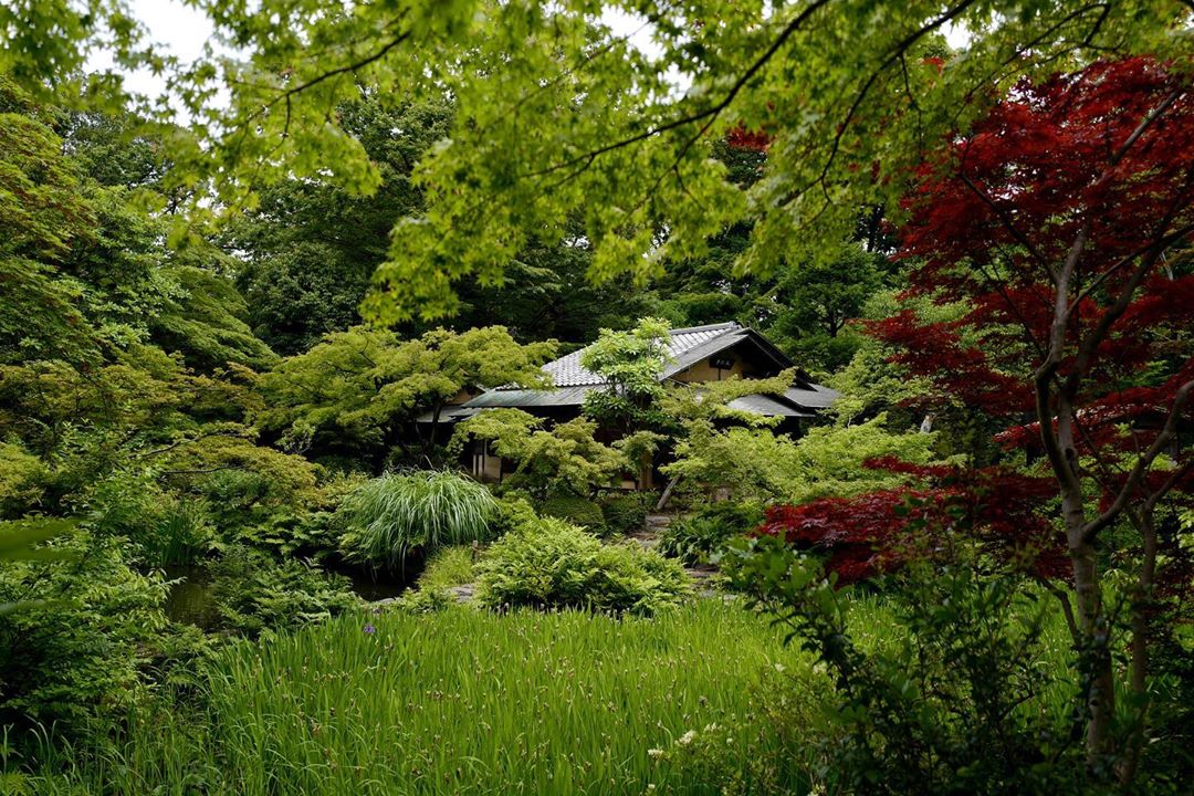 根津美術館（Nezu Museum）日本博物館 東京景點 mapcode