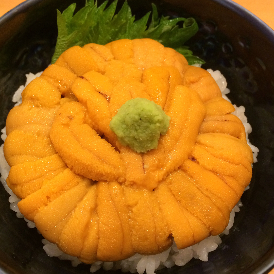 北海道必去！函館朝市美食地圖 きくよ食堂(Kikuyo 食堂)
