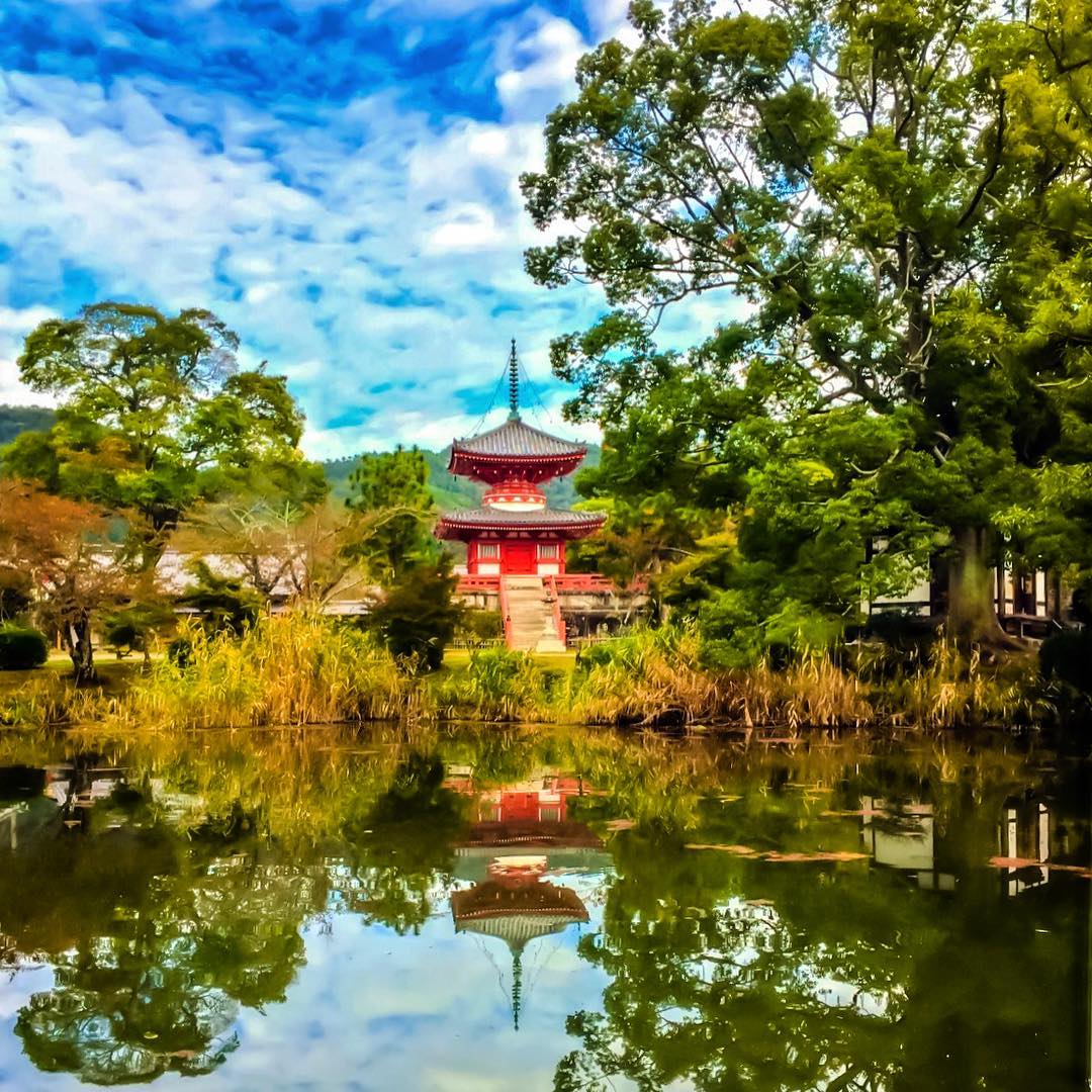 大澤池 大覺寺 春天