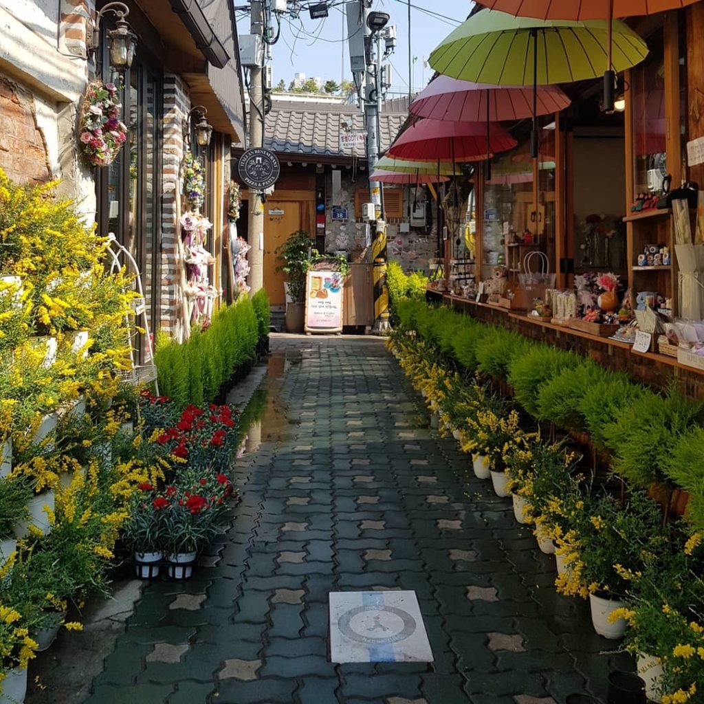 首爾Cafe 首爾咖啡廳 益善洞Cafe 益善洞咖啡廳 首爾文青打卡 益善洞文青打卡 植物(식물)Hotel SEINE(세느장)東柏洋果店(동백양과점)庭院鮮花咖啡(마당플라워카페)鬼怪