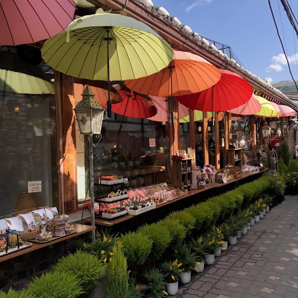 首爾Cafe 首爾咖啡廳 益善洞Cafe 益善洞咖啡廳 首爾文青打卡 益善洞文青打卡 植物(식물)Hotel SEINE(세느장)東柏洋果店(동백양과점)庭院鮮花咖啡(마당플라워카페)鬼怪