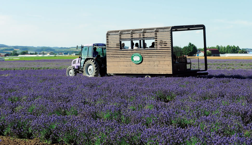薰衣草巴士富田農場導覽地圖 富田農場(Tomita Farm|ファーム富田)北海道薰衣草 富田農場薰衣草 富田農場五彩花田 薰衣草花田站 富良野美瑛ノロッコ号(Norokko號)|北海道 Hokkaido 北海道景點 北海道道北景點 富良野景點 富良野 美瑛景點 美瑛