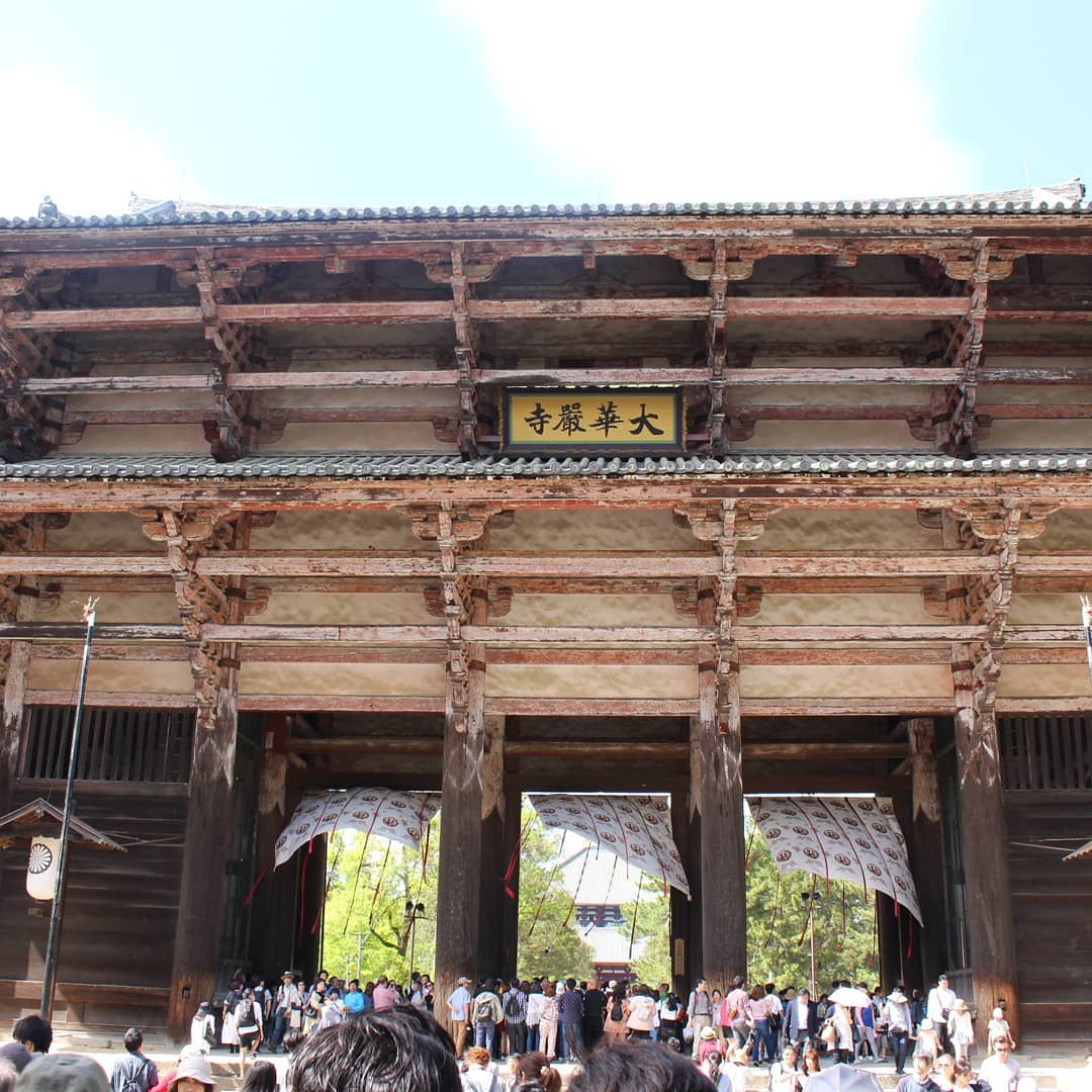 京阪自由行！奈良必去行程懶人包(景點篇) - 東大寺