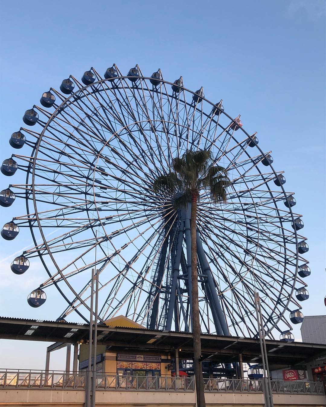 福岡outlet 摩天輪 Marinoa City FUKUOKA SkyWheel