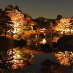 百舌鳥 大仙公園 百舌鳥站 紅葉の宴 大阪 夜間紅葉 大阪賞楓景點 大阪賞楓 景點 大阪紅葉景點 大阪紅葉 景點 大阪賞楓 大阪楓葉 大阪紅葉預測 大阪夜楓 大阪夜楓2019 大阪紅葉2019 大阪賞楓2019 大阪楓葉2019 大阪紅葉預測2019