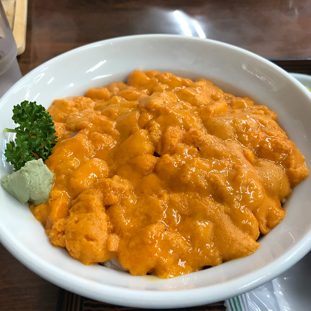 北海道必食！海膽丼十選(前篇)食堂うしお